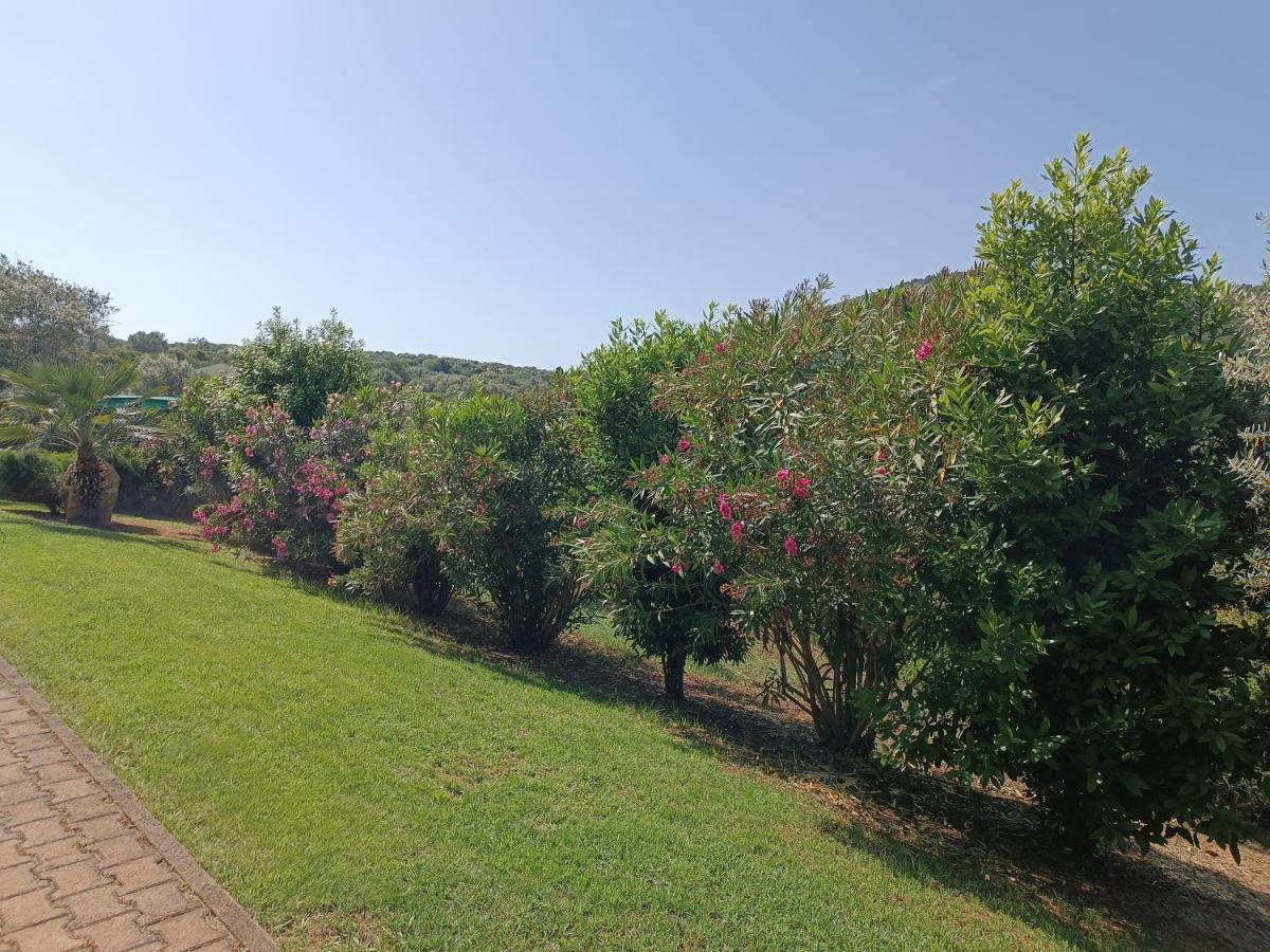Rosanna House In Bombarde Beach Alghero Exterior photo